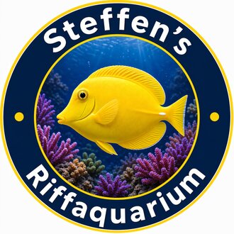 Pflegeroutine mit Testkits und Dosierpumpen am Aquarium